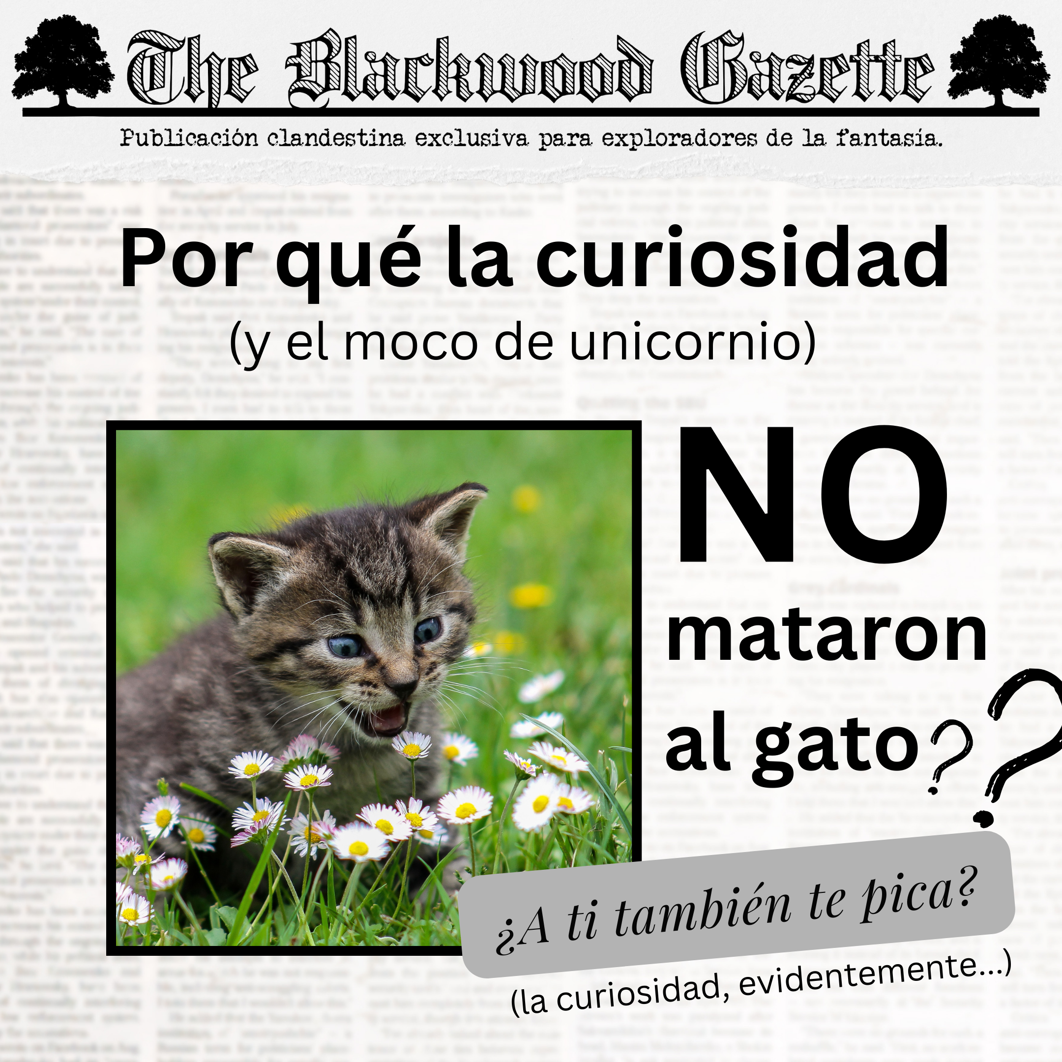 TBG Curiosidad